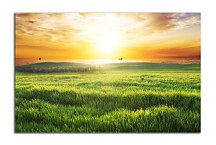 Obraz Slnko nad poliami zs24808